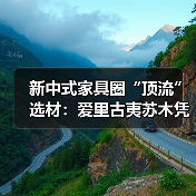 新中式家具圈“顶流”选材：爱里古夷苏木凭什么圈粉无数？（图2）