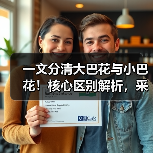 一文分清大巴花与小巴花！核心区别解析，采购避坑必看（图2）