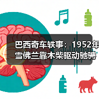 巴西奇车轶事：1952年雪佛兰靠木柴驱动驰骋半世纪（图4）
