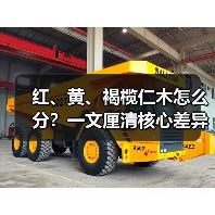 红、黄、褐榄仁木怎么分？一文厘清核心差异与应用边界（图3）