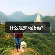 什么是熏蒸托箱？（图3）