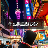 什么是熏蒸托箱？（图1）