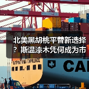 北美黑胡桃平替新选择？斯温漆木凭何成为市场新宠（图4）
