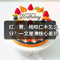 红、黄、褐榄仁木怎么分？一文厘清核心差异与应用边界（图2）