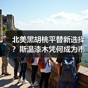 北美黑胡桃平替新选择？斯温漆木凭何成为市场新宠（图3）