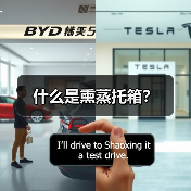 什么是熏蒸托箱？（图3）