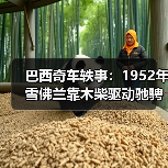 巴西奇车轶事：1952年雪佛兰靠木柴驱动驰骋半世纪（图4）