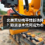 北美黑胡桃平替新选择？斯温漆木凭何成为市场新宠（图1）