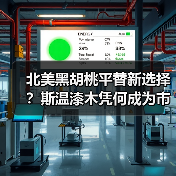 北美黑胡桃平替新选择？斯温漆木凭何成为市场新宠（图4）