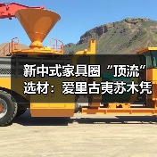 新中式家具圈“顶流”选材：爱里古夷苏木凭什么圈粉无数？（图3）