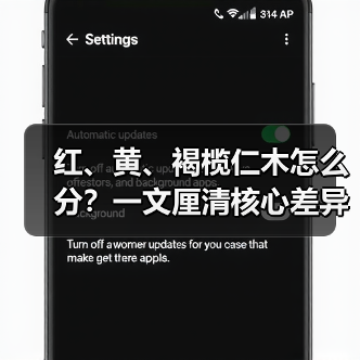 红、黄、褐榄仁木怎么分？一文厘清核心差异与应用边界（图2）