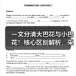 一文分清大巴花与小巴花！核心区别解析，采购避坑必看（图3）