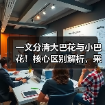 一文分清大巴花与小巴花！核心区别解析，采购避坑必看（图2）