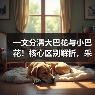 一文分清大巴花与小巴花！核心区别解析，采购避坑必看（图1）