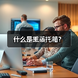 什么是熏蒸托箱？（图1）