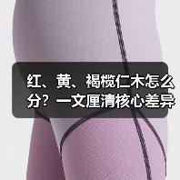红、黄、褐榄仁木怎么分？一文厘清核心差异与应用边界（图1）