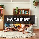 什么是熏蒸托箱？（图2）