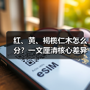 红、黄、褐榄仁木怎么分？一文厘清核心差异与应用边界（图3）