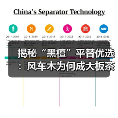 揭秘“黑檀”平替优选：风车木为何成大板茶桌高端材质新宠？（图1）