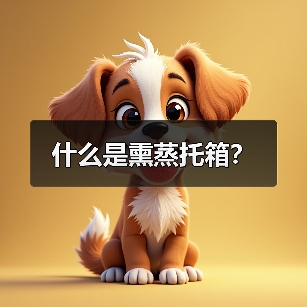 什么是熏蒸托箱？（图3）
