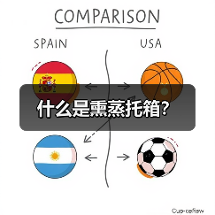 什么是熏蒸托箱？（图1）