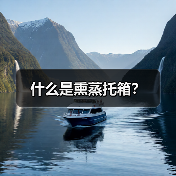 什么是熏蒸托箱？（图2）