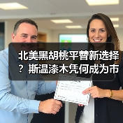 北美黑胡桃平替新选择？斯温漆木凭何成为市场新宠（图4）