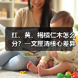 红、黄、褐榄仁木怎么分？一文厘清核心差异与应用边界（图2）