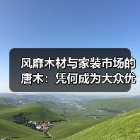 风靡木材与家装市场的唐木：凭何成为大众优选材种？（图2）