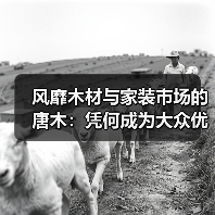 风靡木材与家装市场的唐木：凭何成为大众优选材种？（图1）