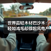世界最轻木材巴沙木：轻如鸿毛却撑起风电产业半边天（图3）
