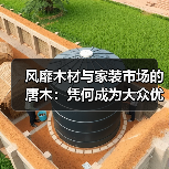 风靡木材与家装市场的唐木：凭何成为大众优选材种？（图4）