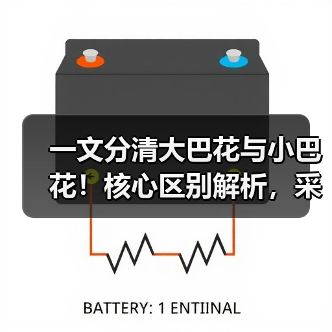一文分清大巴花与小巴花!核心区别解析,采购避坑必看(图1) 一文分清大巴花与小巴花!核心区别解析,采购避坑必看(图1)