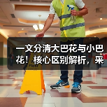一文分清大巴花与小巴花!核心区别解析,采购避坑必看(图2) 一文分清大巴花与小巴花!核心区别解析,采购避坑必看(图2)