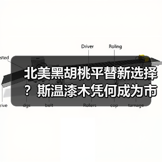 北美黑胡桃平替新选择？斯温漆木凭何成为市场新宠（图3）