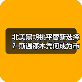 北美黑胡桃平替新选择？斯温漆木凭何成为市场新宠（图4）