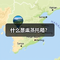 什么是熏蒸托箱?(图1) 什么是熏蒸托箱?(图1)