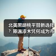 北美黑胡桃平替新选择？斯温漆木凭何成为市场新宠（图1）