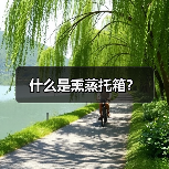 什么是熏蒸托箱?(图4) 什么是熏蒸托箱?(图4)