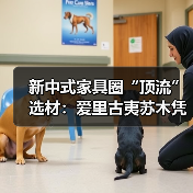 新中式家具圈“顶流”选材：爱里古夷苏木凭什么圈粉无数？（图1）