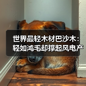 世界最轻木材巴沙木：轻如鸿毛却撑起风电产业半边天（图4）