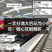 一文分清大巴花与小巴花！核心区别解析，采购避坑必看（图1）