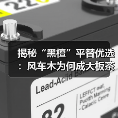 揭秘“黑檀”平替优选：风车木为何成大板茶桌高端材质新宠？（图3）