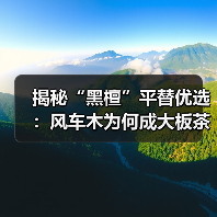 揭秘“黑檀”平替优选：风车木为何成大板茶桌高端材质新宠？（图1）