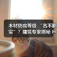 木材防腐等级 “名不副实”？建筑专家揭秘 H3 失效背后的设计危机（图2）
