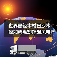 世界最轻木材巴沙木：轻如鸿毛却撑起风电产业半边天（图2）