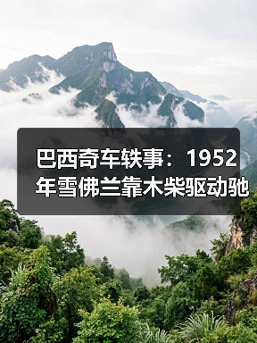 巴西奇车轶事：1952年雪佛兰靠木柴驱动驰骋半世纪（图1）