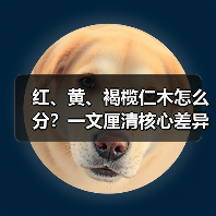 红、黄、褐榄仁木怎么分?一文厘清核心差异与应用边界(图4) 红、黄、褐榄仁木怎么分?一文厘清核心差异与应用边界(图4)