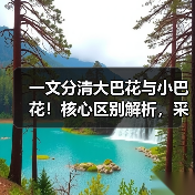 一文分清大巴花与小巴花!核心区别解析,采购避坑必看(图3) 一文分清大巴花与小巴花!核心区别解析,采购避坑必看(图3)