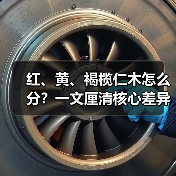 红、黄、褐榄仁木怎么分?一文厘清核心差异与应用边界(图1) 红、黄、褐榄仁木怎么分?一文厘清核心差异与应用边界(图1)